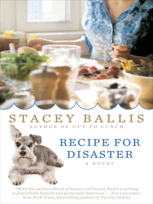 Title details for Recipe for Disaster by Stacey Ballis - Wait list